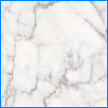  Bianco Carrara