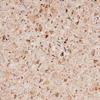  Technistone